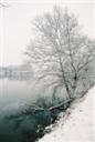 winter lsl custom 2.jpg - 